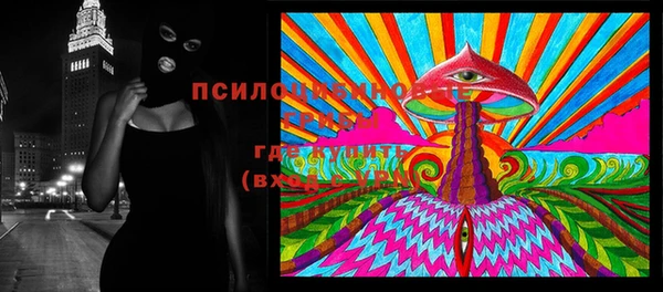 герыч Пестово