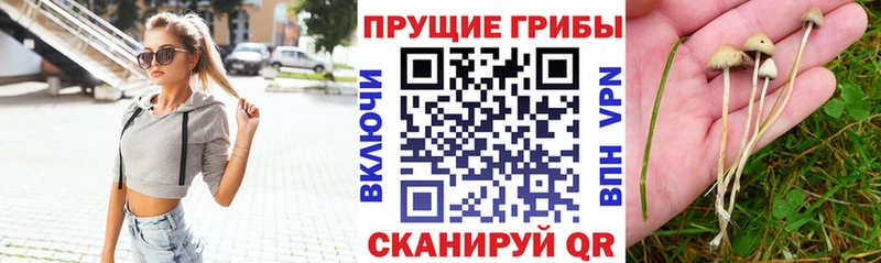гидра онион  Новоуральск  Галлюциногенные грибы мицелий  где найти наркотики 